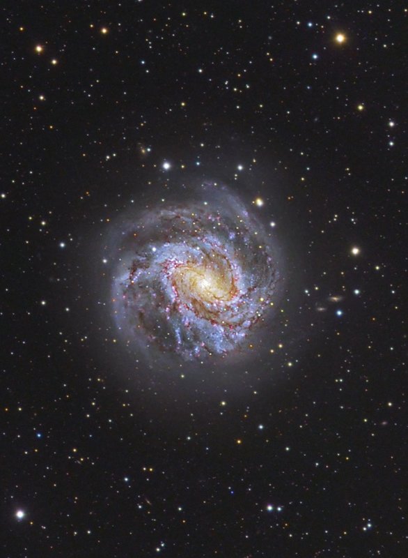 M83 up close