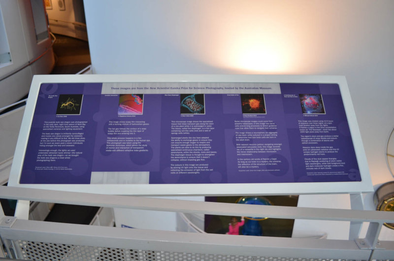 Photograph Information Panel