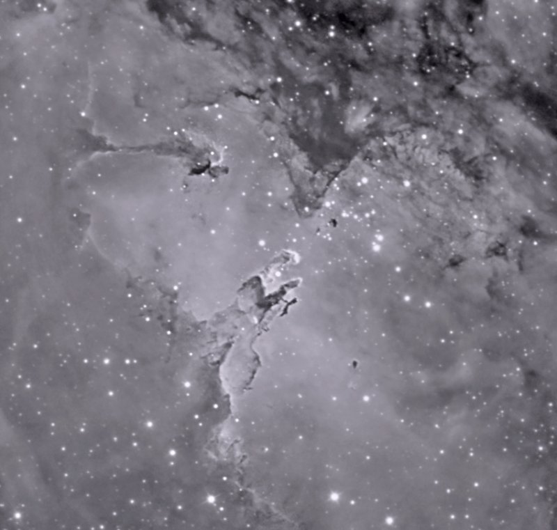 M16 Eagle B&W 100% Crop