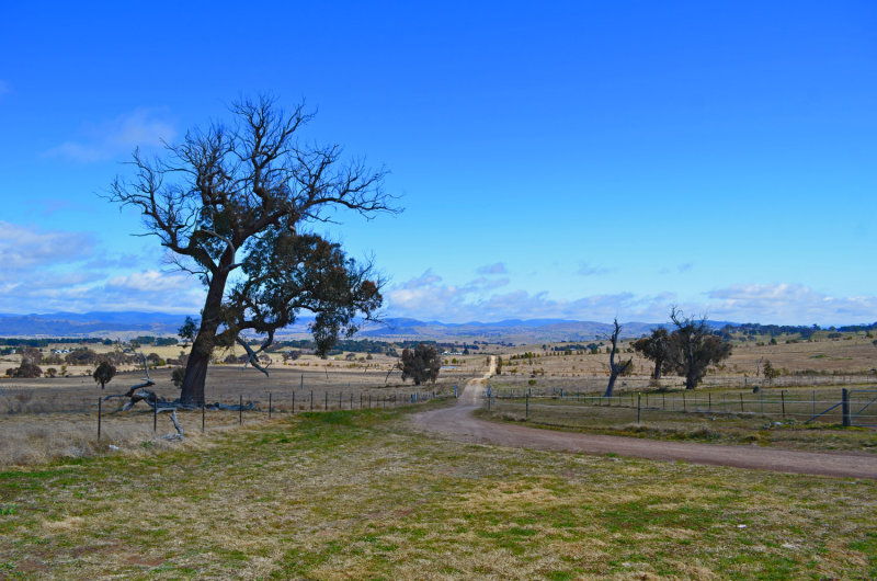 Wallarroo Driveway