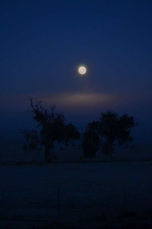 Blue Moon