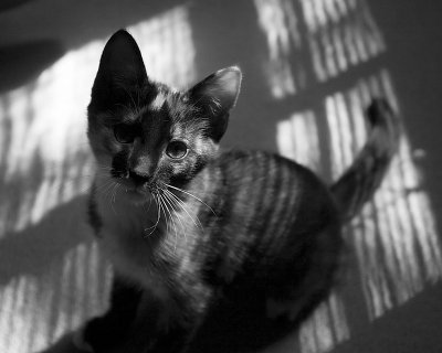 _MG_0418.jpg