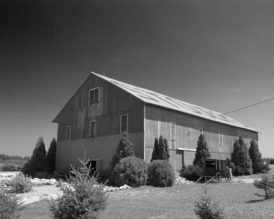 31-JUL-2006