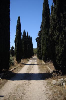 Abandoned Lane