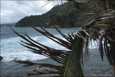 Dominica Island, Atlantic coast