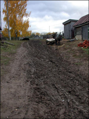 Fall in the village