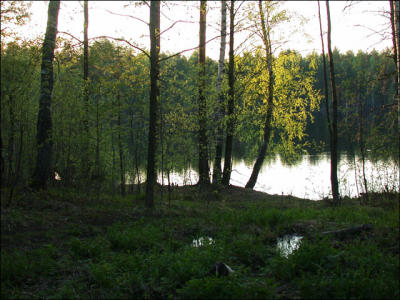Arier lake