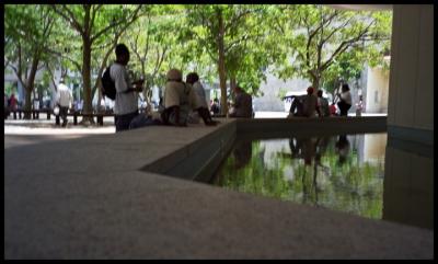 Downtown Miami: Government Center