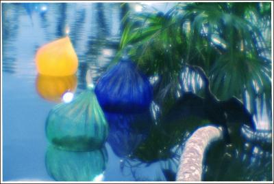 Wild Anhinga and Glass Sculptures (Fairchild Tropical Garden)