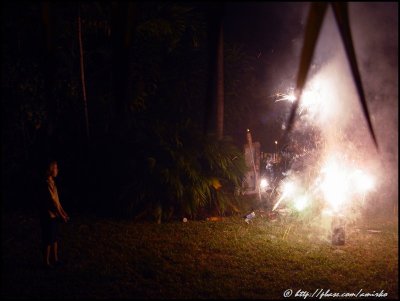 NY 2008 in Pinecrest