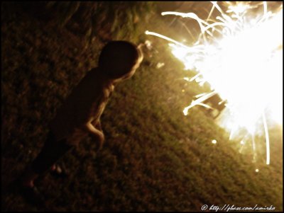 NY 2008 in Pinecrest