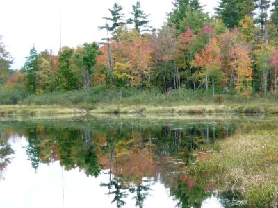 P1020762.JPG