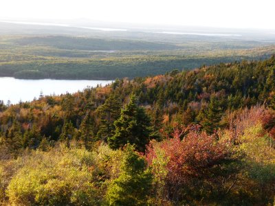 P1020981.JPG