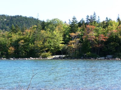 P1030007.JPG