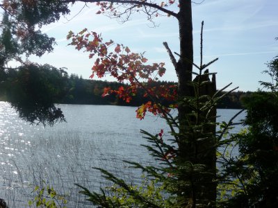 P1030049.JPG