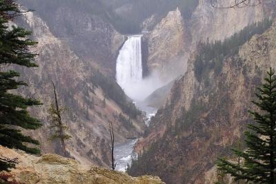 Grand Canyon Falls - Yellowstone NP