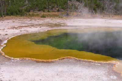 Thermal Pool Yellowstone NP
