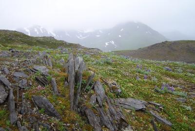 Mountain View on HC Ride - Alaska