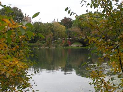 Central Park1