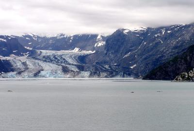 Glacier Bay8