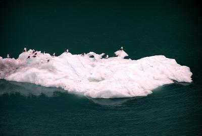 Iceberg.jpg