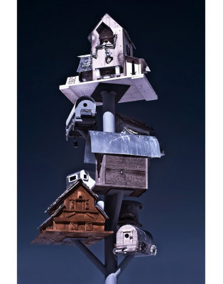 2012_mid-state_fair_entries