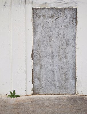 The Door
