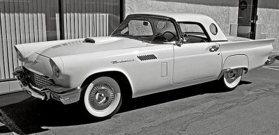 TBird in black and white