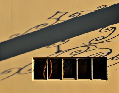 jazzy reflections