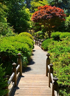 Japanese Tea Garden Path