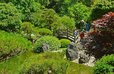 Japanese Tea Garden scene