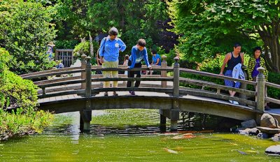 Japanese Tea Garden scene2