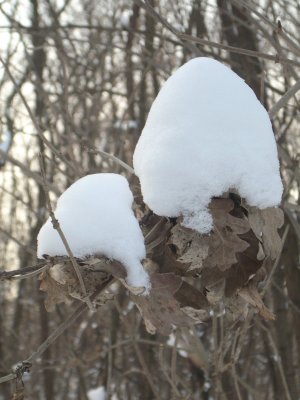 DSCN1767.JPG