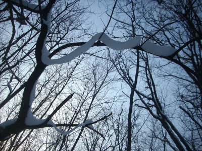 DSCN1799.JPG