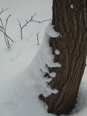 DSCN1805.JPG