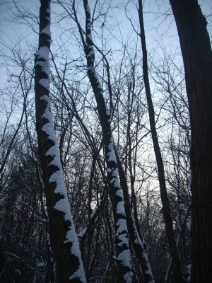DSCN1809.JPG