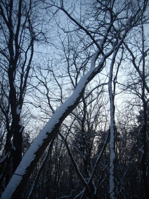 DSCN1811.JPG