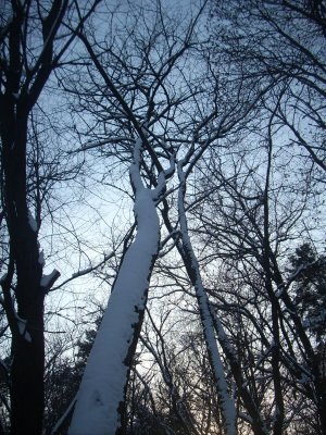 DSCN1817.JPG