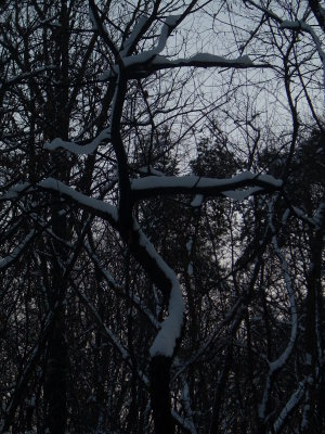 DSCN1824.JPG