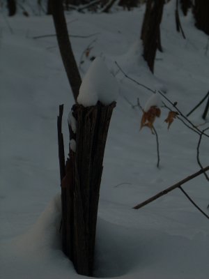 DSCN1840.JPG