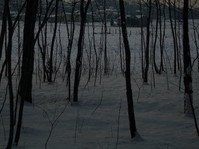 DSCN1857.JPG