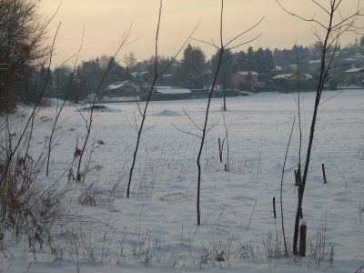 DSCN1861.JPG
