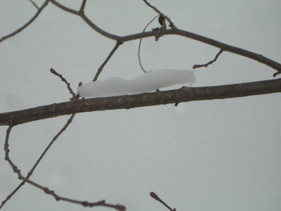 DSCN1921.JPG