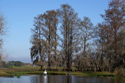 Arbuckle Creek 1