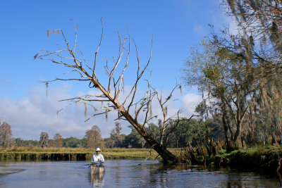 Arbuckle Creek 2