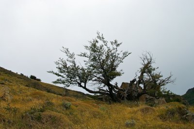 _IGP8050.jpg