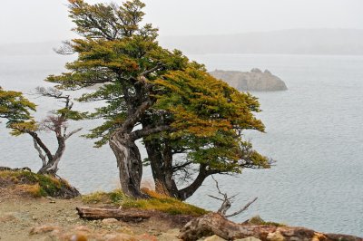 _IGP8059.jpg