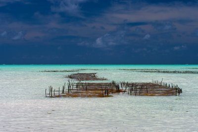Zanzibar 2011