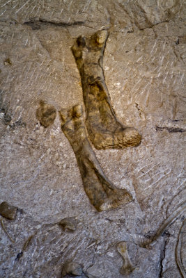 062312-012 8x12.jpg