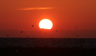 Sunrise land